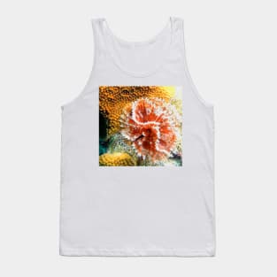 Red and White Feather Duster Coral Worm Tank Top